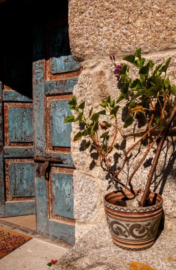 בית הארחה רדונדולה 	Casa D'Mina מראה חיצוני תמונה